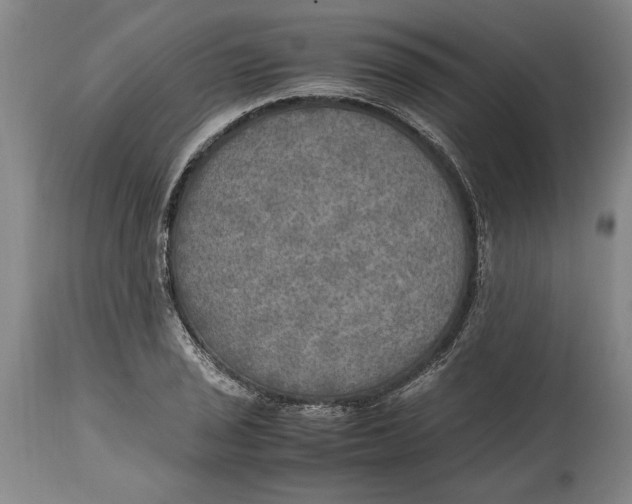 X0000114561029200911161219