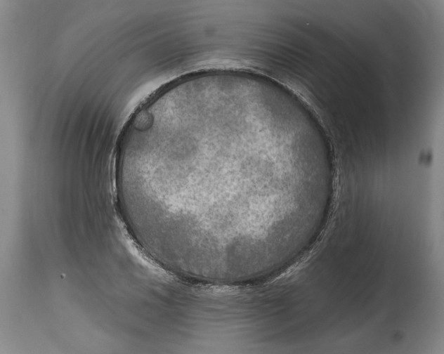 X0000114561030200911161219