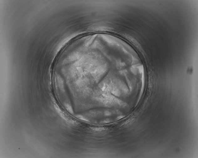 X0000114561031200911161219