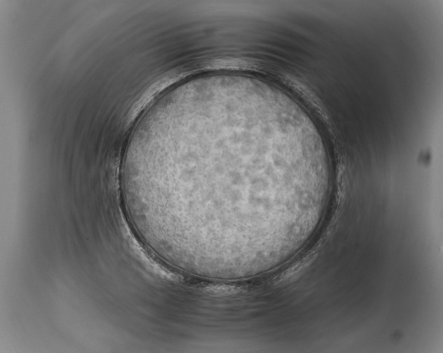 X0000114561033200911161219