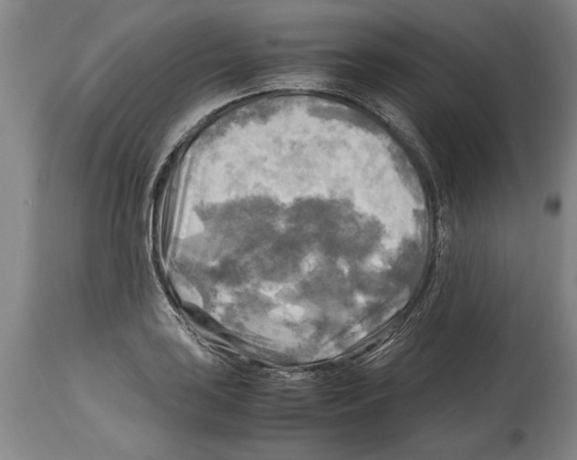 X0000114561035200911161219