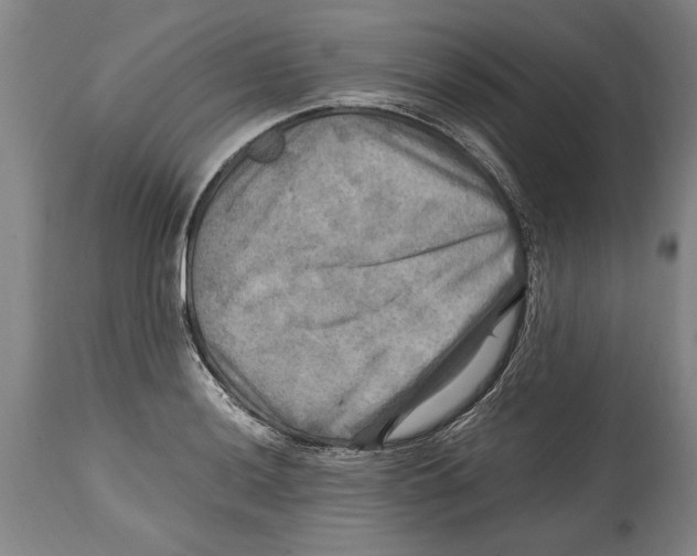 X0000114561036200911161219