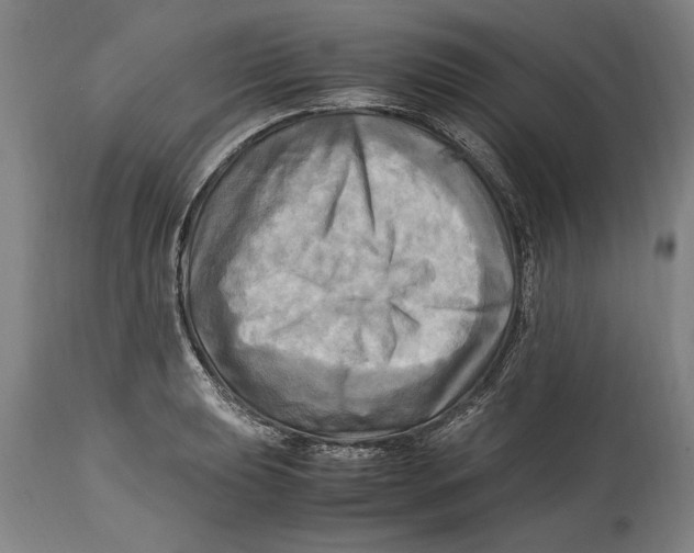 X0000114561039200911161219