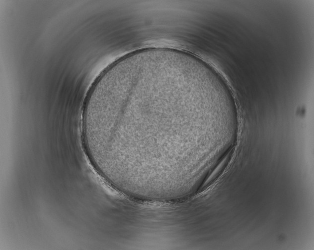 X0000114561040200911161219
