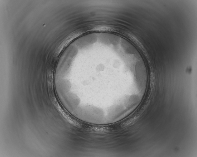 X0000114561041200911161219