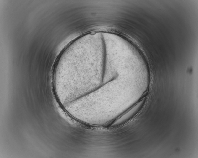 X0000114561042200911161219