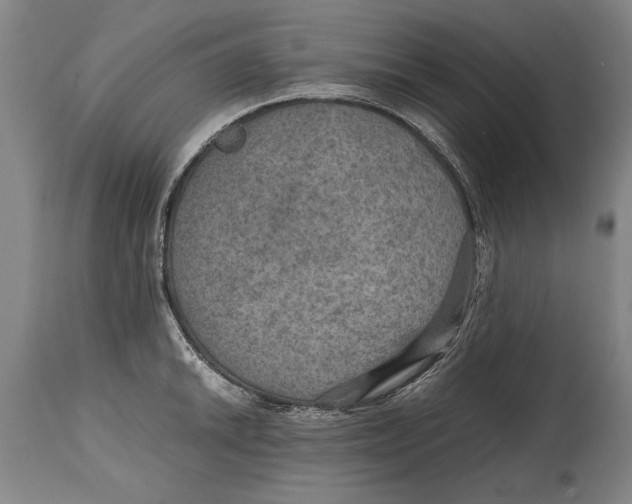 X0000114561046200911161219