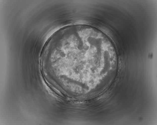 X0000114561047200911161219