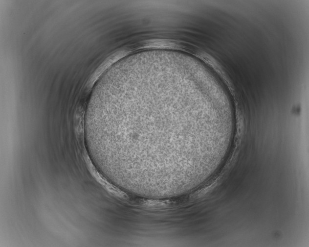 X0000114561049200911161219
