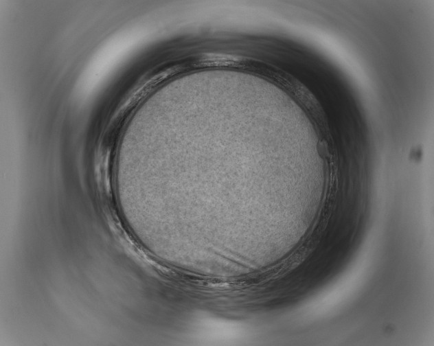 X0000114561054200911161219