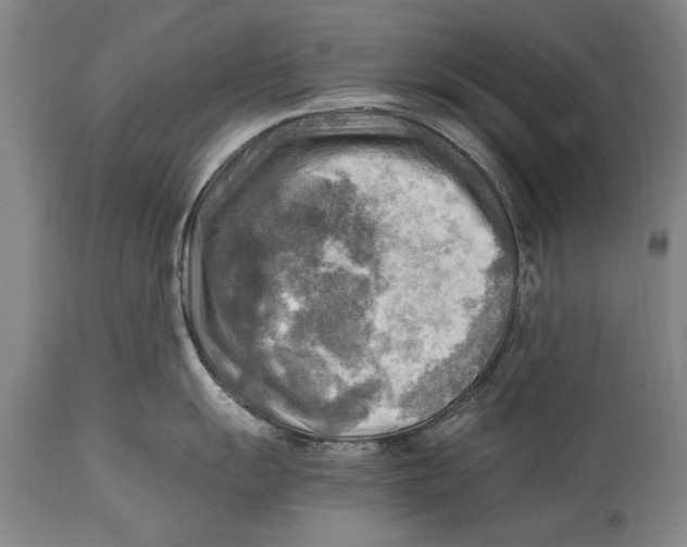 X0000114561055200911161219