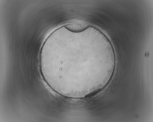 X0000114561056200911161219