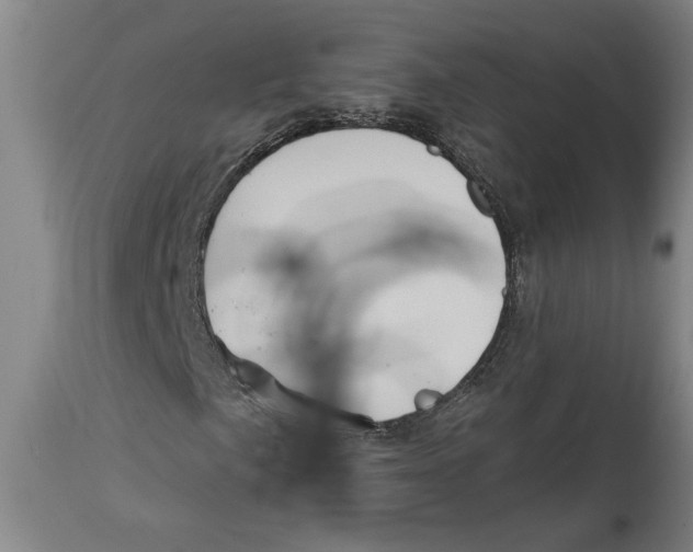 X0000114561057200911161218