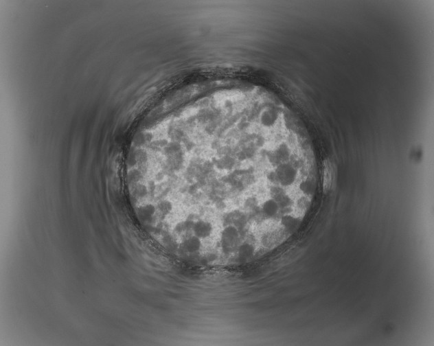 X0000114561059200911161218