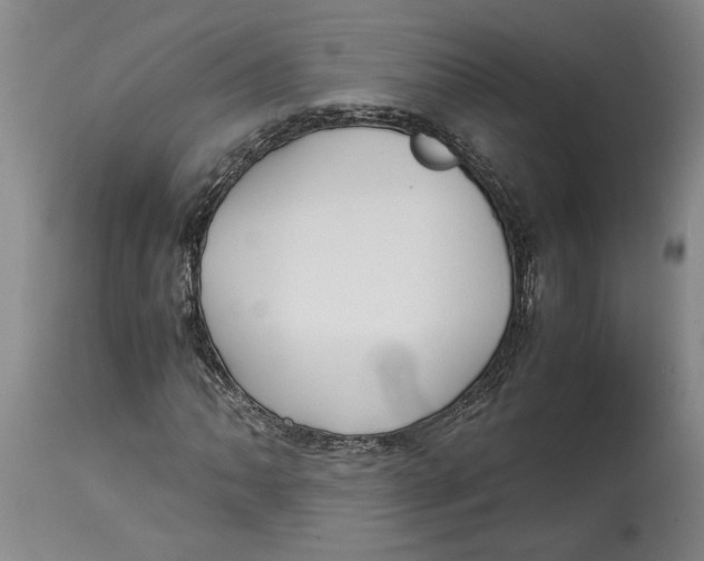X0000114561062200911161218