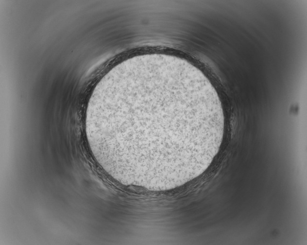 X0000114561064200911161218