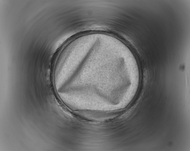 X0000114561066200911161218