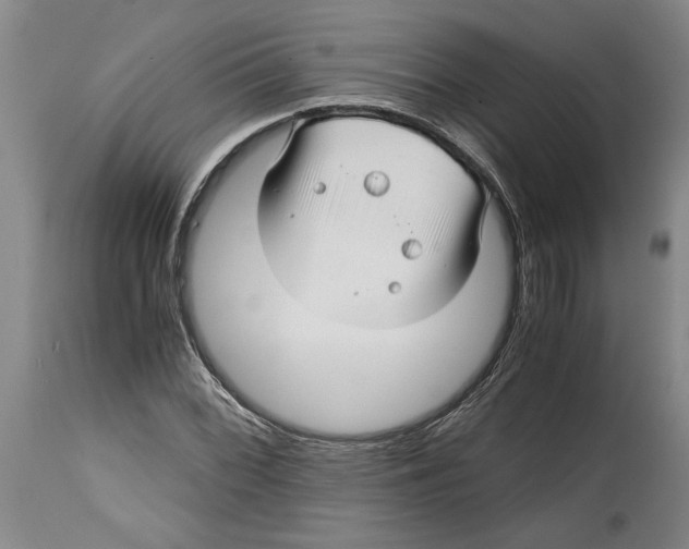 X0000114561068200911161218