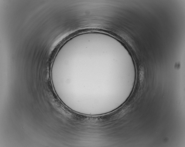 X0000114561069200911161218