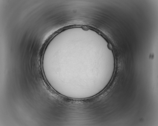 X0000114561070200911161218