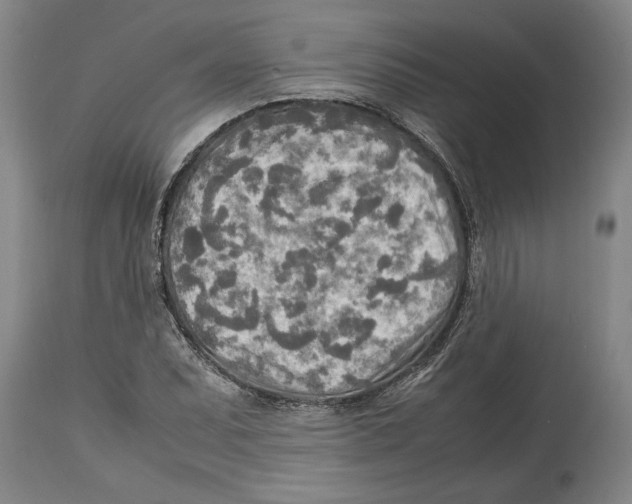 X0000114561071200911161218