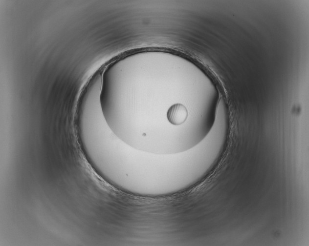 X0000114561072200911161218