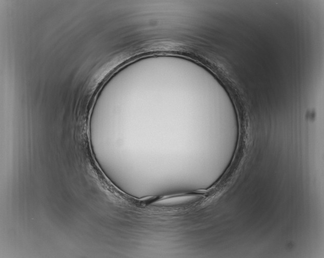 X0000114561073200911161218