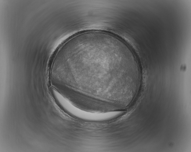 X0000114561077200911161218
