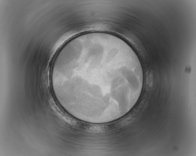 X0000114561078200911161218