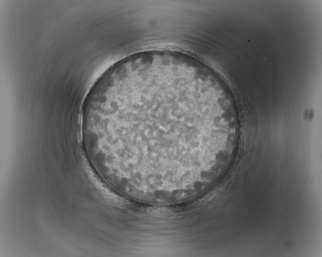 X0000114561079200911161218
