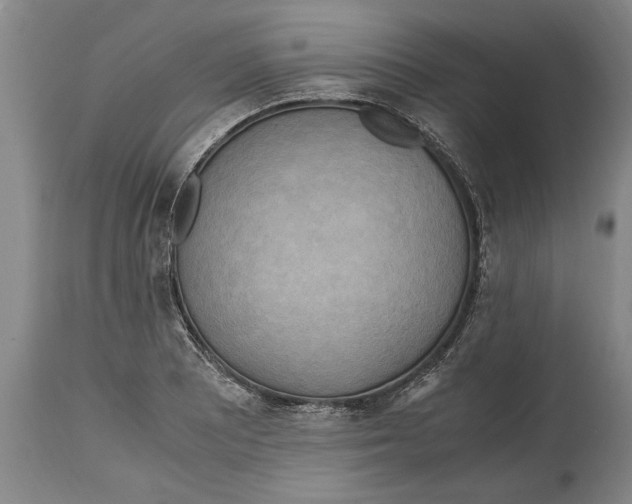 X0000114561081200911161218