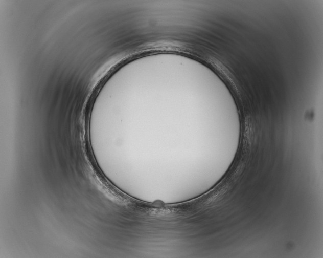 X0000114561082200911161218