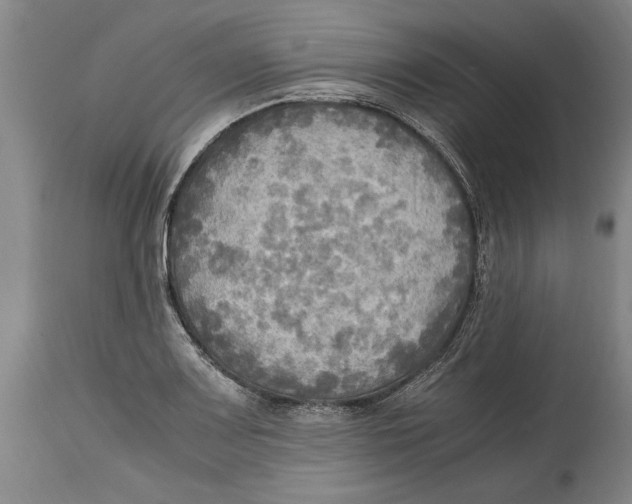 X0000114561083200911161218
