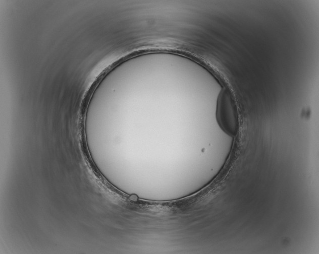 X0000114561085200911161218