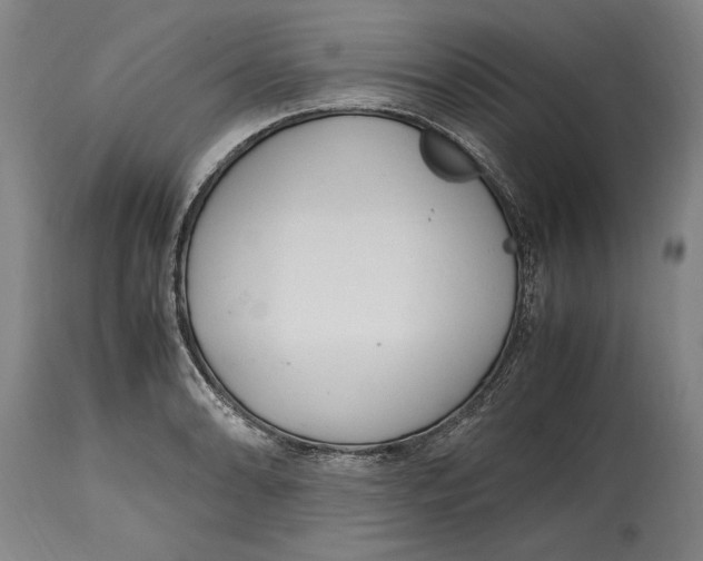 X0000114561086200911161218