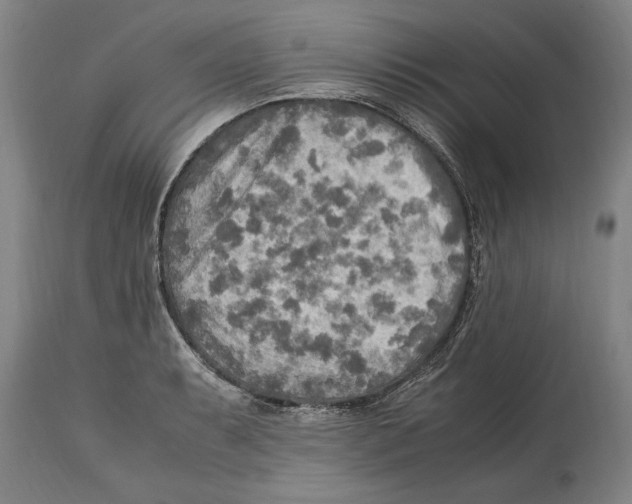 X0000114561087200911161218