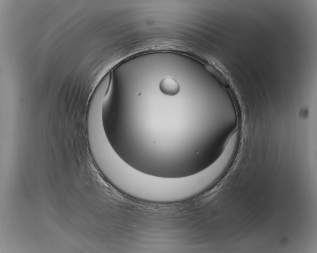 X0000114561089200911161218