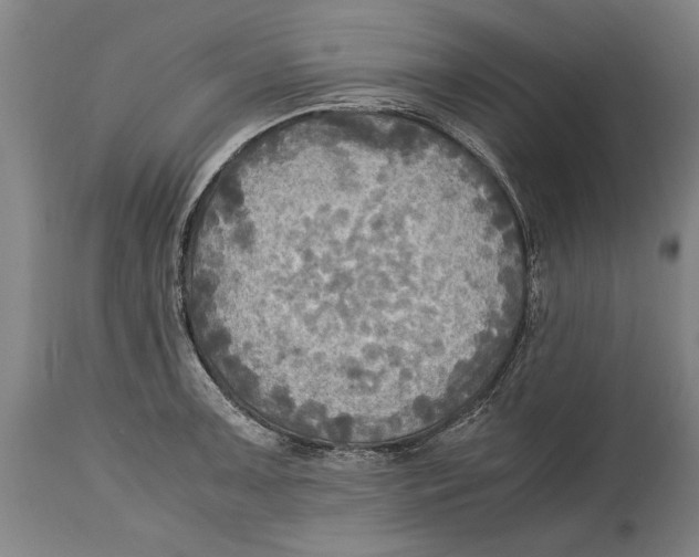 X0000114561091200911161218