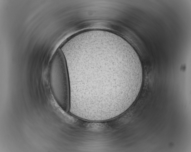 X0000114561092200911161218