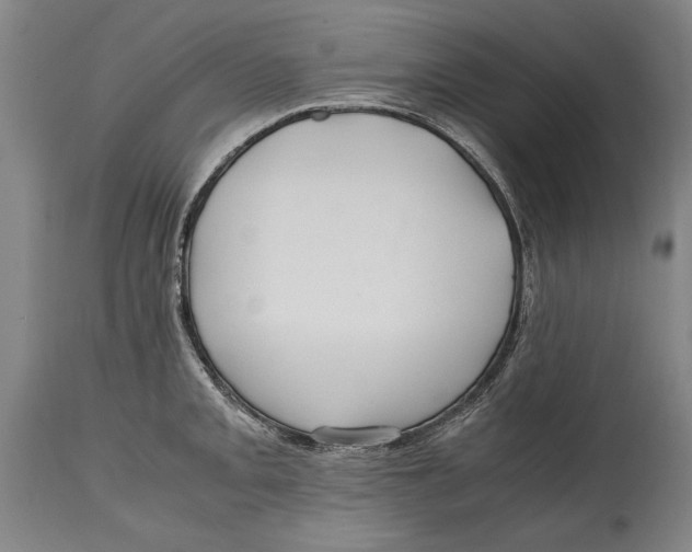 X0000114561093200911161218
