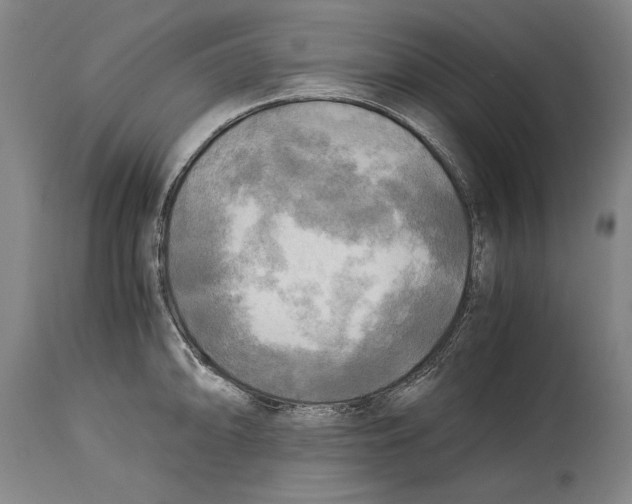 X0000114561094200911161218
