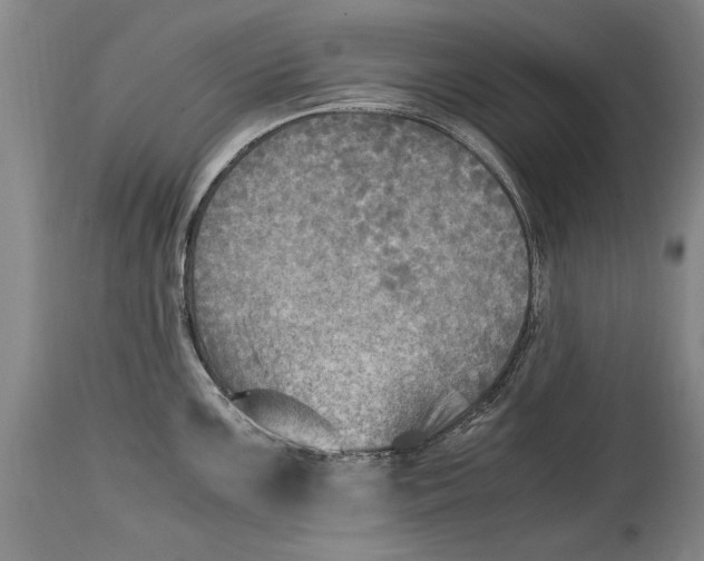 X0000114561099200911161218