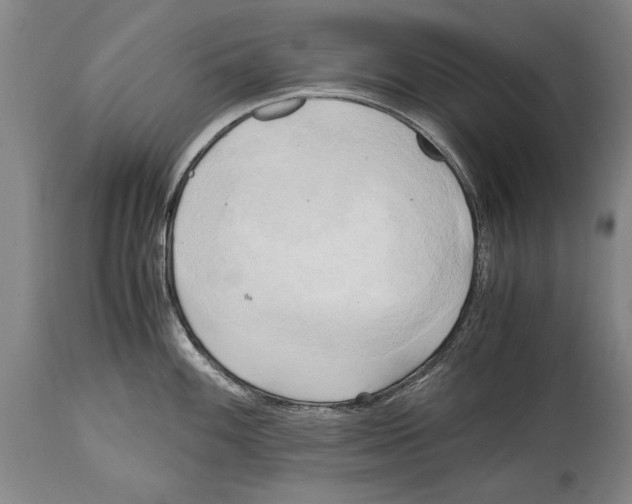 X0000114561100200911161218