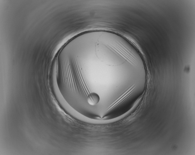 X0000114561101200911161218