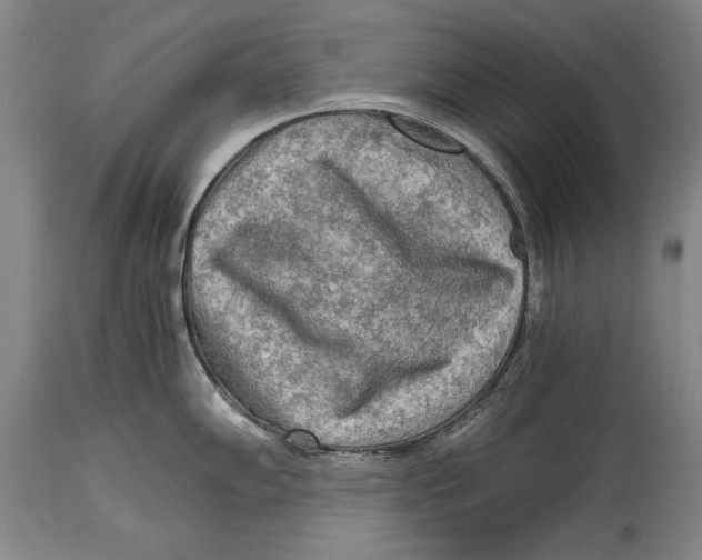 X0000114561102200911161218
