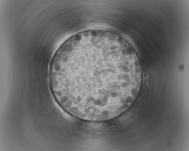 X0000114561103200911161218
