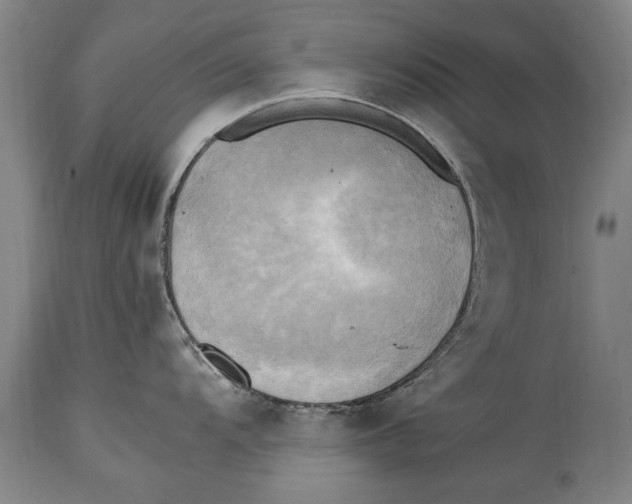 X0000114561104200911161218