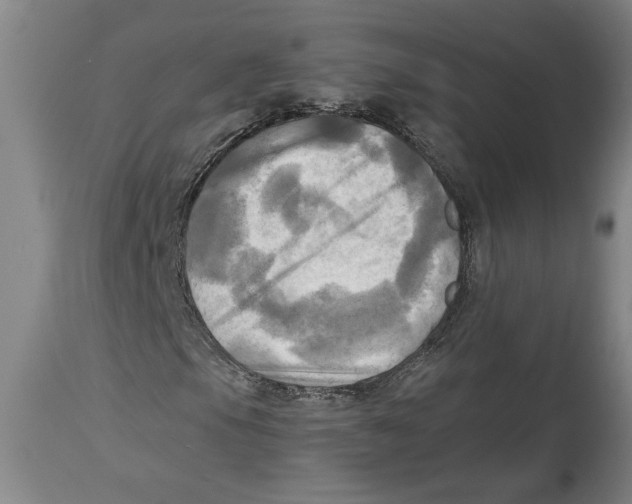 X0000114561105200911161217