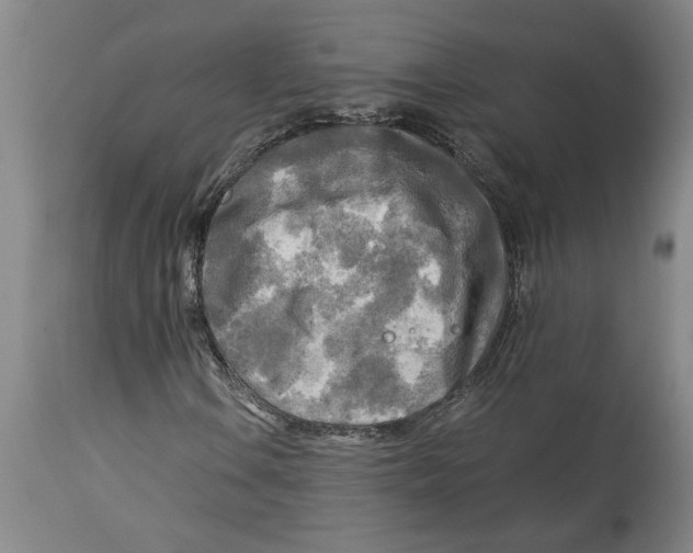 X0000114561106200911161217