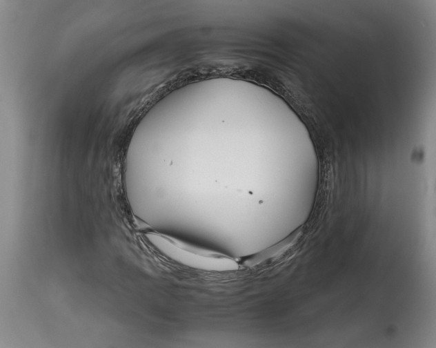X0000114561109200911161217